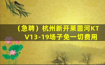 宁夏夜总会招聘